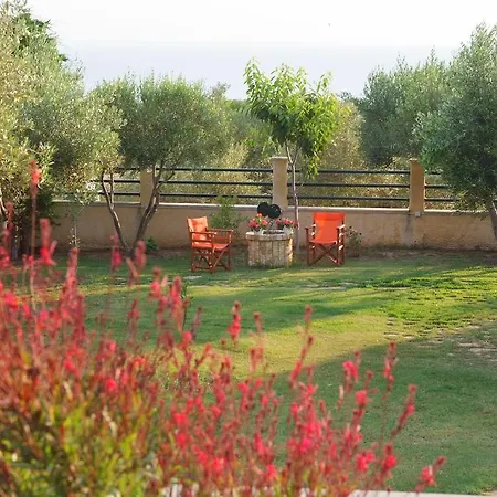 Sofia Luxury Maisonettes Lejlighed Nikiti (Sithonia)