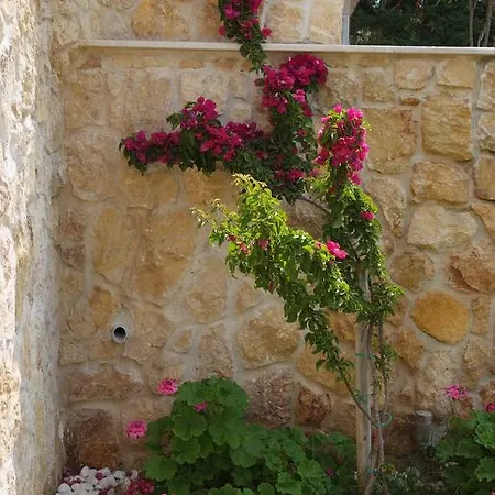 Sofia Luxury Maisonettes * ניקיטי