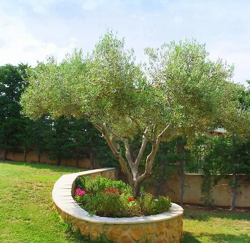 Sofia Luxury Maisonettes 아파트 *