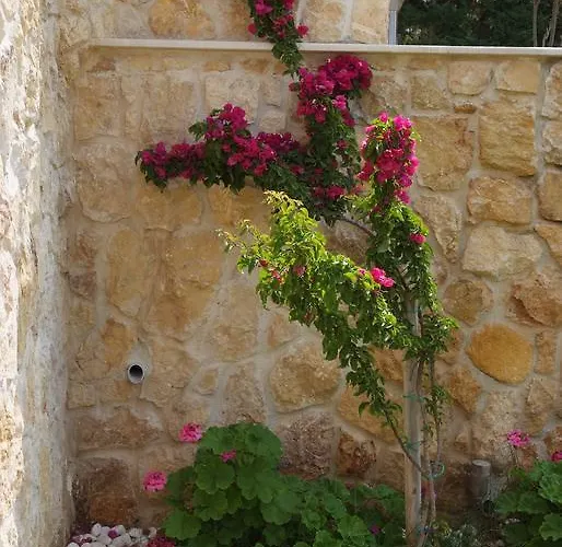 Sofia Luxury Maisonettes * 니키티